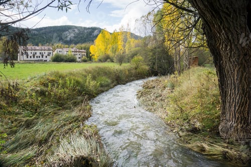 Preview: Autumn Poplars In Alcala De La Selva Teruel Aragon Spain