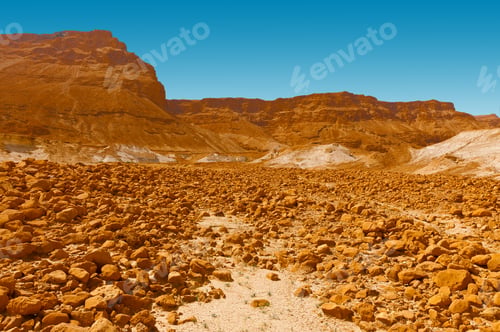 Preview: Canyon In The Judean Desert On The West Bank