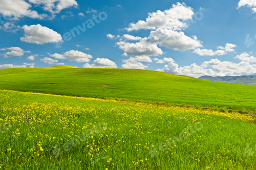 Preview: Green Sloping Meadows Of Tuscany