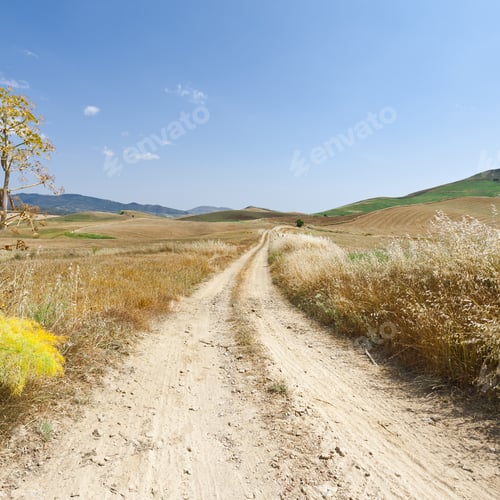 Preview: Dirt Road Between Wheat Fields On The Hills Of Sicily