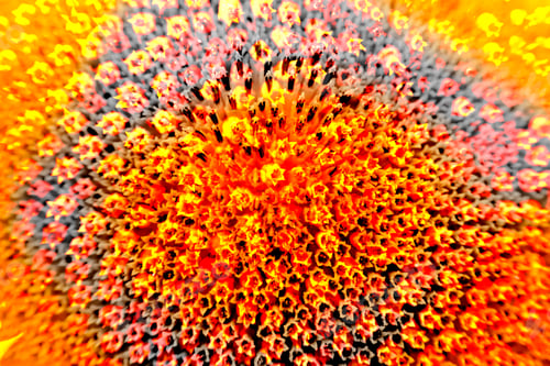 Preview: Abstract And Funky Background Done In Macro Mode