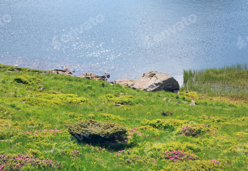 Preview: Alpine Lake Nesamovyte On Summer Mountain Ravine (Ukraine, Chornogora Ridge, Carpathian Mountains)