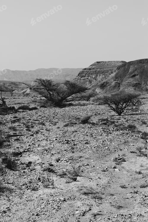 Preview: Loneliness And Emptiness Of The Rocky Hills Of The Negev Desert In Israel. Breathtaking Landscape