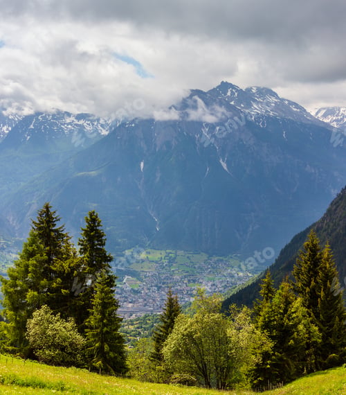 Preview: Summer Alps Mountain Landscape With Yellow Wild Flowers On Grassland Slope, Switzerland.