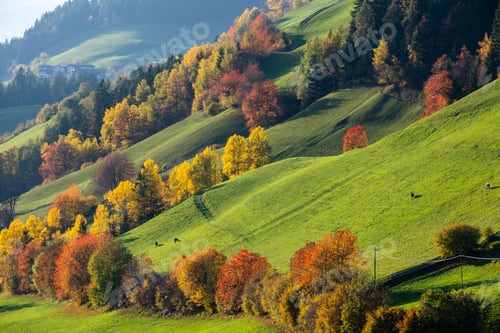 Preview: Autumn Santa Magdalena Famous Italy Dolomites Mountain Village Environs Hills. Picturesque