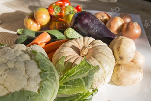 Preview: Still Life Of Fresh Vegetables, Cabbage, Eggplant, Pumpkins, Tomatoes, Potatoes And Peppers