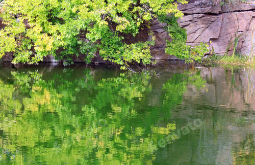 Preview: Pond Water Surface With Reflection Of Colorful Trees And Rocky Lakeside In Autumn Park