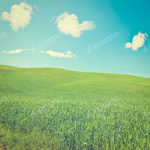 Preview: Green Sloping Meadows Of Tuscany, Instagram Effect