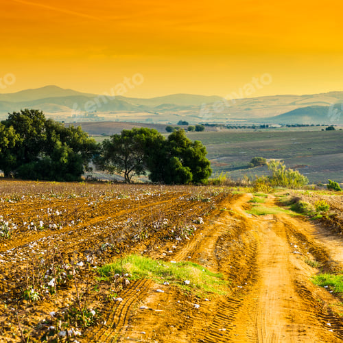 Preview: Fields In Spain After Harvesting At Sunrise. Breathtaking Landscape And Nature Of The Iberian