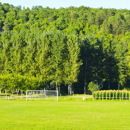Preview: Football Field On The Background Of Forest And Corn Field In France