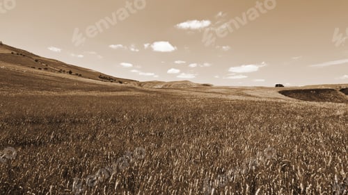 Preview: Wheat Fields On The Hills Of Sicily, Vintage Style Sepia