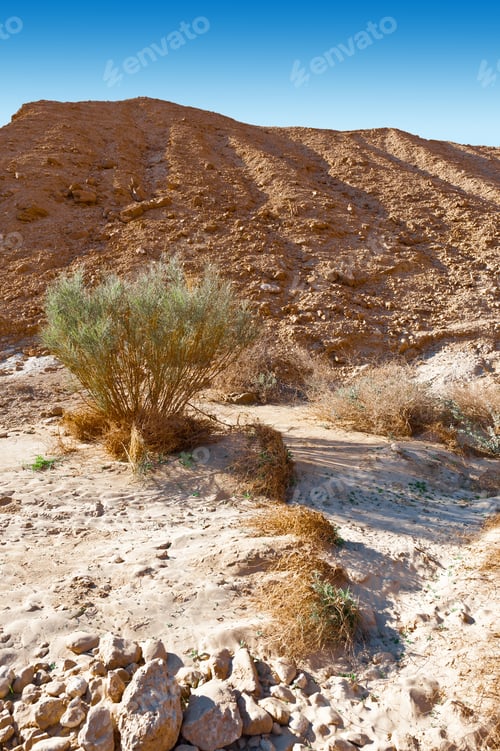 Preview: Rocky Hills Of The Negev Desert In Israel