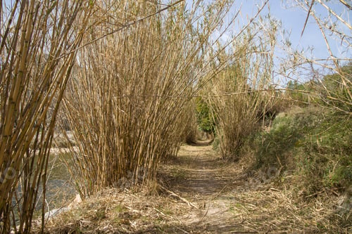 Preview: Mijares River In Montanejos Castellon Spain