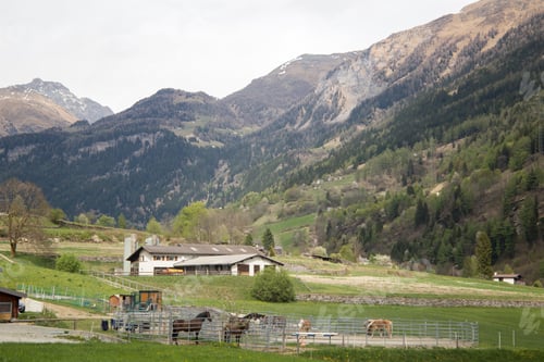 Preview: View Of Switzerland Landscape From The Bernina Express Train