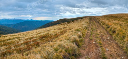 Preview: Carpathian Mountains (Ukraine) Landscape With Country Road.
