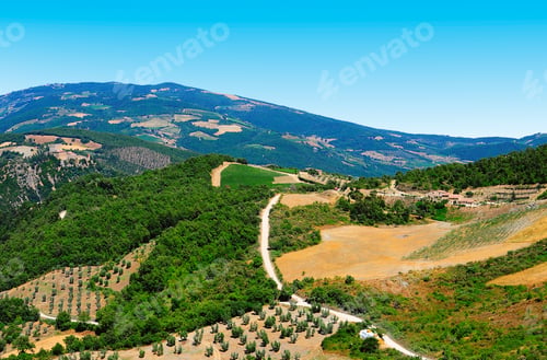 Preview: Tuscan Landscape With Vineyards And Olive Groves