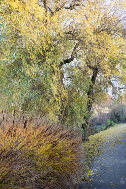 Preview: Perigueux, The River Dordogne France On December 8, 2018