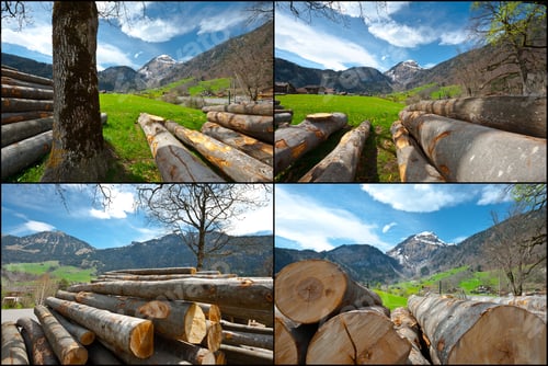 Preview: Sawed Firewood Dropped High Up In The Swiss Alps, Set