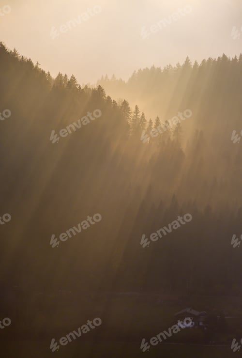 Preview: Autumn Hazy Day Mountain Forest Silhouettes And Sunrays In Contra Light View. Climate, Environment