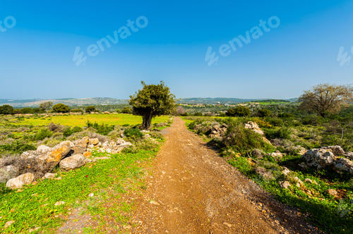 Preview: The Nature Of The Western Galilee In Israel With Forests, Rocks, Gorges And Olive Groves