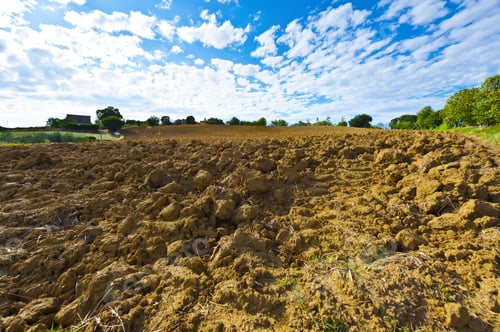 Preview: Plowed Fields Of Tuscany In The Autumn
