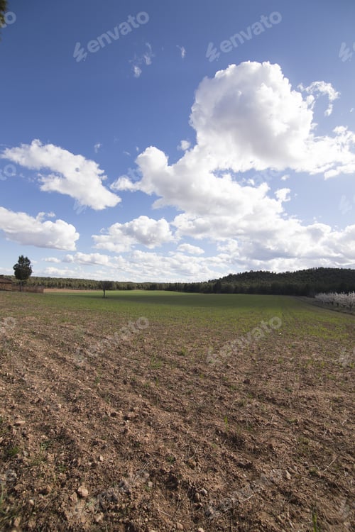 Preview: Spring Landscape In Gudar Mountains Teruel Aragon Spain