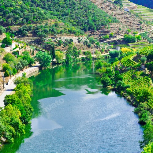 Preview: Vineyards In The Valley Of The River Douro, Portugal