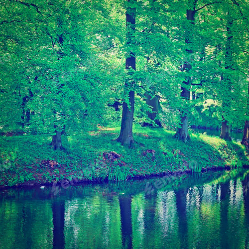 Preview: Greenwood On The Canal Bank In The Netherlands, Instagram Effect