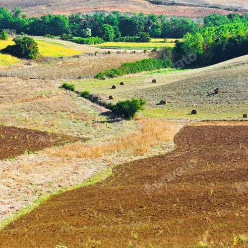 Preview: Landscape With Many Hay Bales In Italy