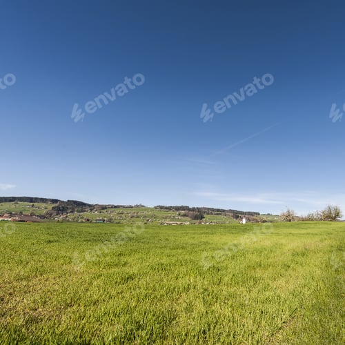 Preview: Swiss Landscape With Meadows And Forest. Small Town Surrounded By Pastures In Switzerland