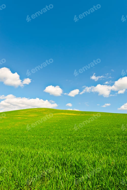 Preview: Green Sloping Meadows Of Tuscany