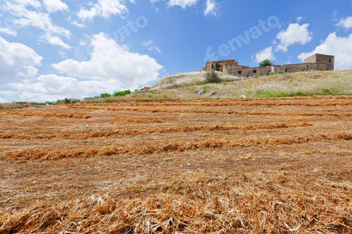 Preview: Mown Field On The Hill In Sicily, Italy