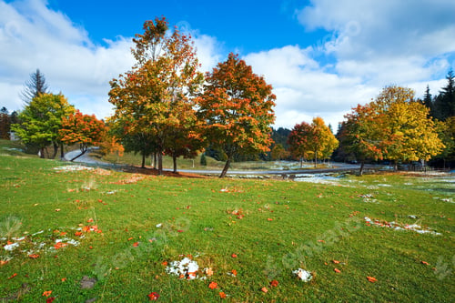 Preview: First Winter Snow And Autumn Colorful Foliage Near Mountain Secondary Road (Carpathian, Ukraine)