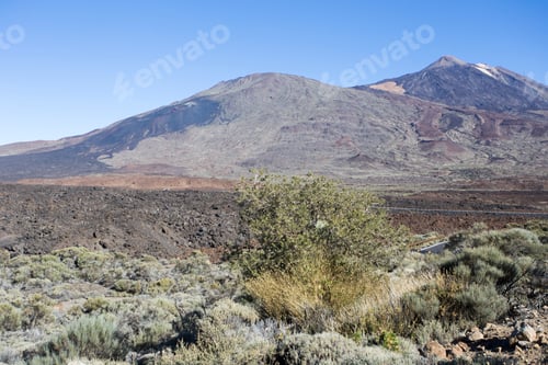 Preview: El Teide National Park In Tenerife Island Canary Islands Spain