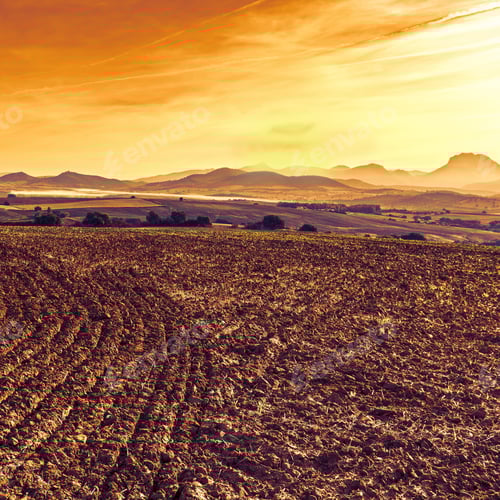 Preview: Fields In Spain After Harvesting At Sunrise. Breathtaking Landscape And Nature Of The Iberian