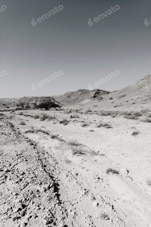 Preview: Loneliness And Emptiness Of The Rocky Hills Of The Negev Desert In Israel. Breathtaking Landscape