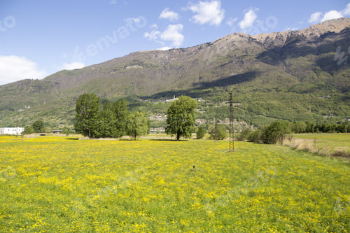 Preview: Landscape In Lombardy From The Train From Como To Colico