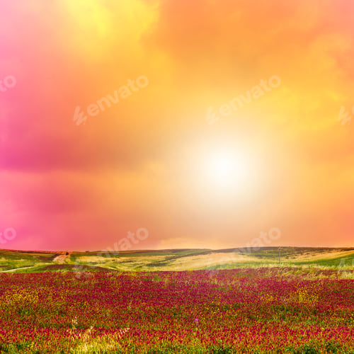 Preview: Flowering Fields On The Hills Of Sicily At Sunrise.