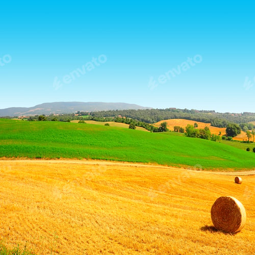 Preview: Tuscany Landscape With Many Hay Bales