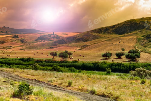 Preview: Wheat Fields On The Background Of Sicilian Hills At Sunrise. Landscape With Straw Bales After