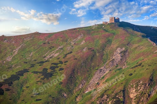 Preview: Massif Of Pip Ivan With The Ruins Of The Observatory On Top. Pink Rhododendron Flowers On Summer