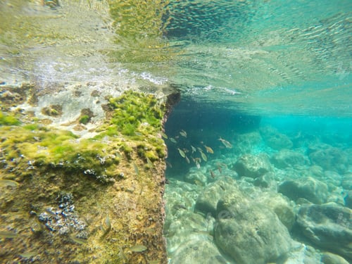 Preview: Underwater Penyon De Ifach Rock Nature Reserve In Calpe Alicante Province Spain