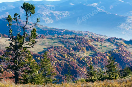 Preview: Morning Fog In Autumn Carpathian And Colorful Trees On Slope.