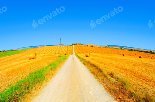 Preview: Tuscany Landscape With Many Hay Bales At The Rural Road