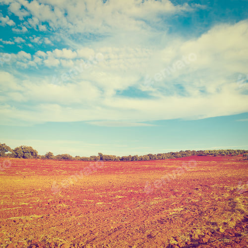 Preview: Plowed Fields Of Spain In A Autumn, Retro Effect