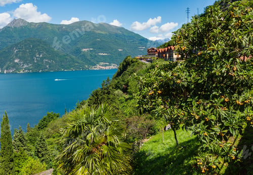 Preview: Alpine Lake Como Summer View From Shore (Italy)