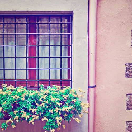 Preview: Window On The Facade Of Italian House Decorated With Fresh Flower, Instagram Effect
