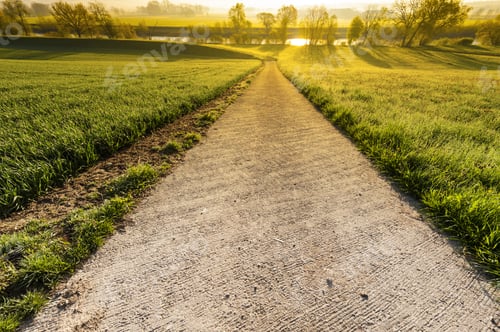 Preview: Swiss Landscape With Meadows Along The Irrigation Canal At Sunrise. Asphalt Path Descending To The