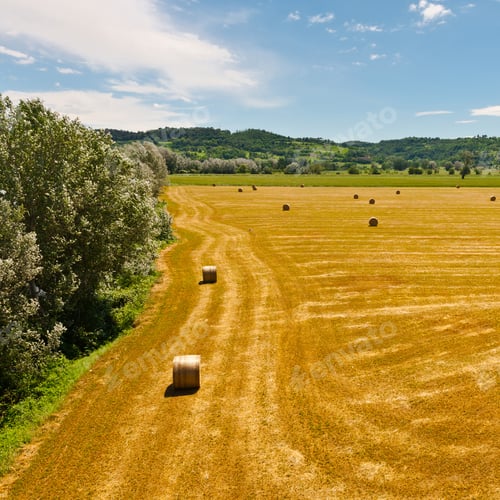 Preview: Landscape With Many Hay Bales