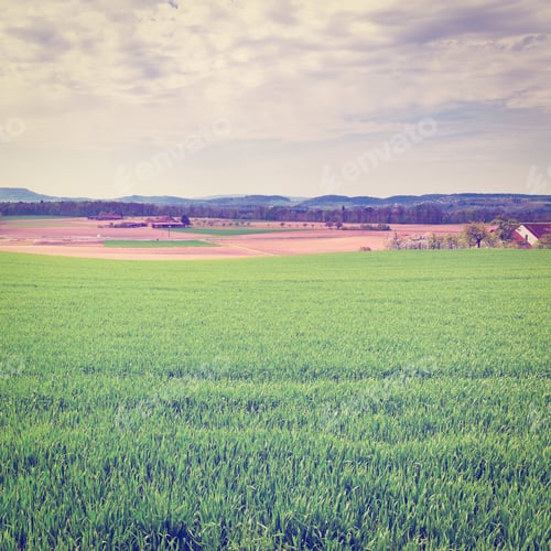 Preview: The Swiss Farmhouse Surrounded By Forests And Plowed Fields, Instagram Effect